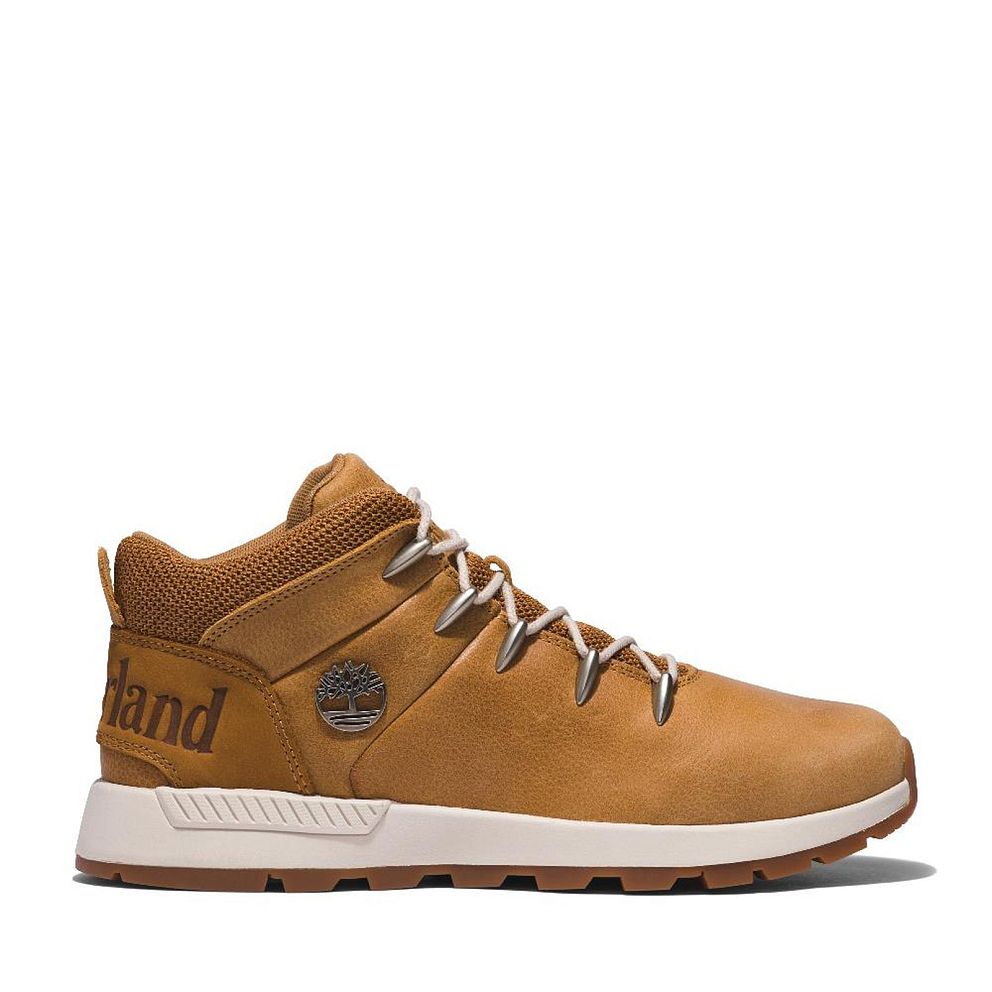 Sprint hiker best sale timberland